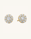 Spark Circle Moissanite Studs